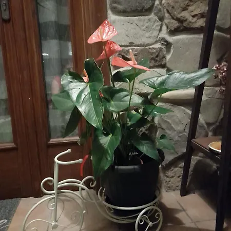 Appartement La Taverna Da Irene